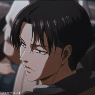 📎 4a638813 Levi Ackerman Attack on Titan อนิเมะ, ตัวละคร, รีไวล์, ผ่าพิภพไททัน, มังงะ, อนิเมชั่น, ทหาร telegram sticker