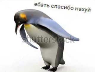 💬 2713cb76 ебать спасибо нахуй penguin, funny, russian, cursing, meme telegram sticker