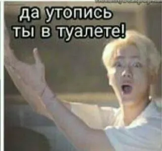 💬 39757816 да утопись ты в туалете! meme, russian, slang, expression telegram sticker
