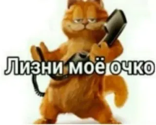 Больше стиков тут: @stikery4 telegram stickers
