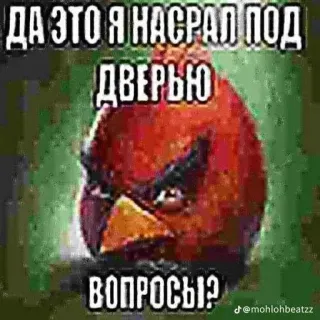 😏 4642b363 ДА ЭТО Я НАСРАЛ ПОД ДВЕРЬЮ
ВОПРОСЫ? uccello arrabbiato, uccello, umorismo, russo, meme telegram sticker