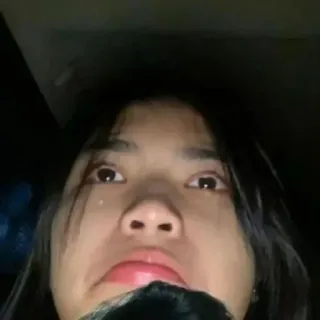 🦋 c4da113a telegram sticker