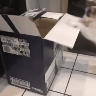 📦 c5fa5216 whatsapp sticker