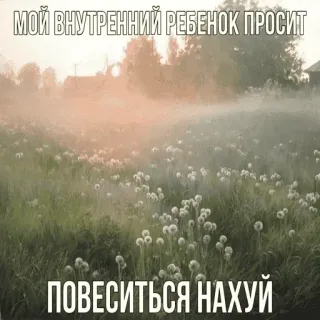 👶 1b084345 МОЙ ВНУТРЕННИЙ РЕБЕНОК ПРОСИТ ПОВЕСИТЬСЯ НАХУЙ dientes de león, campo, naturaleza, niño interior, suicidio, ofensivo telegram sticker