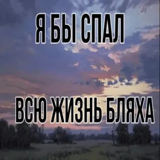 😴 229c92f7 Я БЫ СПАЛ
ВСЮ ЖИЗНЬ БЛЯХА dormir, cielo, paisaje, ruso, insulto, frase telegram sticker