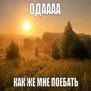 🥱 54b5e196 ОДААА
КАК ЖЕ МНЕ ПОЕБАТЬ ofensivo, meme, ruso, texto telegram sticker