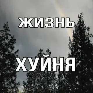 🪦 6049afa8 ЖИЗНЬ
ХУЙНЯ ruso, texto, ofensivo, vulgar telegram sticker