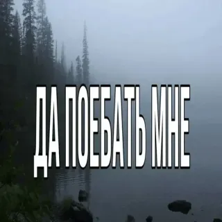 🥱 917484d6 ДА ПОЕБАТЬ МНЕ ruso, jerga, ofensivo, expresión, irreverente telegram sticker