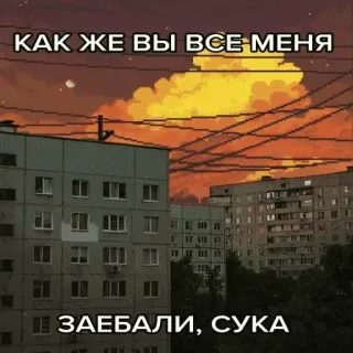 🙄 919c495e КАК ЖЕ ВЫ ВСЕ МЕНЯ 
ЗАЕБАЛИ, СУКА Texto ruso, Edificios, Paisaje urbano, Atardecer, Groserías, Insulto telegram sticker