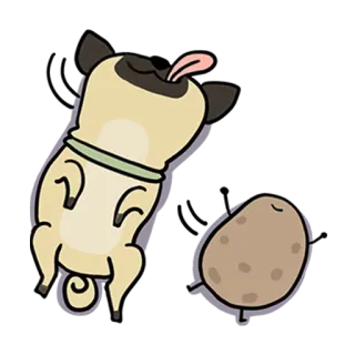 😴 b2ff0fc3 carlin, chien, patate, dessin animé, animal, amitié whatsapp sticker