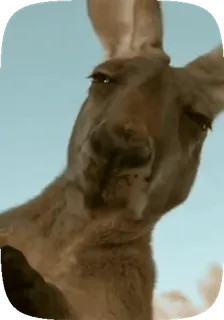 ЖЮ❤️ v1.0 @lifeyt telegram stickers