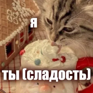 😋 49b41966 Я
Ты (сладость) kucing, makan, hidangan penutup, rumah jahe whatsapp sticker