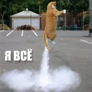 😱 6e649552 Я ВСЁ kucing, terbang, roket, asap, humor, rusia whatsapp sticker