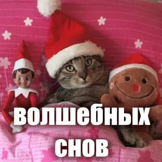 🫠 8f831929 Волшебных снов kucing, natal, elf, kue jahe, magi, mimpi, lucu whatsapp sticker