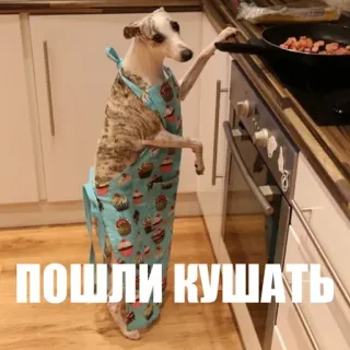 😋 aa6c4439 ПОШЛИ КУШАТЬ anjing, memasak, celemek, dapur, makanan whatsapp sticker