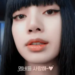 🍓 8580eed8 멤버들 사랑해~ coreano, amore, membri, cuore telegram sticker