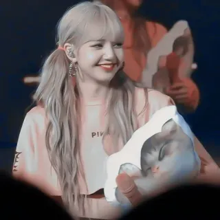 🍓 aa1b3e87 Lisa Lisa, Blackpink, K-Pop, cantante, idol, donna, celebrità telegram sticker