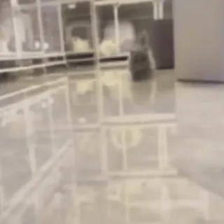 😃 895b7182 whatsapp sticker