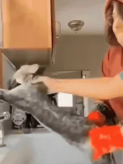 😵 b2645e96 whatsapp sticker