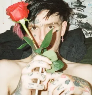 🌹 c50eae2e Lil Peep lil peep, rosa, ritratto, musica, tatuaggio, rapper, artista telegram sticker