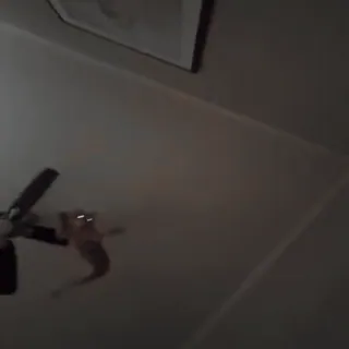 🚁 4c73497c telegram sticker