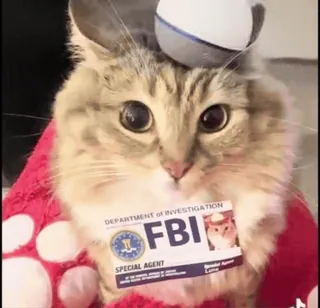 Кто такой @kynik? telegram stickers