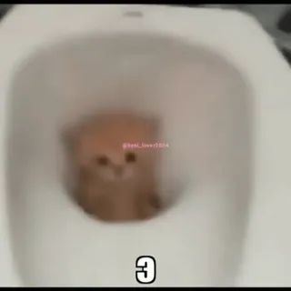 Кто такой @kynik? telegram stickers