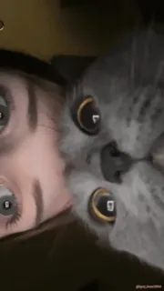 Кто такой @kynik? telegram stickers