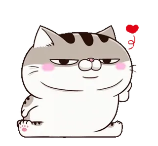 😏 9a5e3505 кот, стикер, животное, милый, средний палец, оскорбительный, грубый telegram sticker