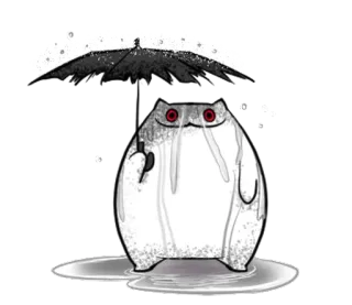 🦊 9e2e305a gatto, dito medio, offensivo, adesivo, animale, gesto telegram sticker