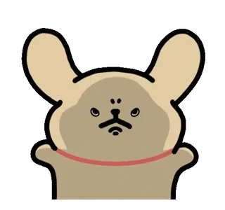 🦮 df655a10 telegram sticker