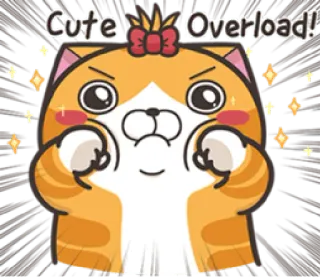 😌 d44a6c87 Cute Overload! 猫, 可爱, 超载, 卡哇伊, 动物, 橙色, 闪耀 telegram sticker
