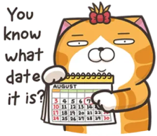 😏 e28b397c You know what date it is? 猫, 日期, 日历, 八月, 橘猫, 问题, 提醒 telegram sticker