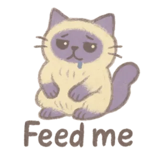 🐈‍⬛ 9fe253de Feed me kat, schattig, huisdier, hongerig, dier telegram sticker