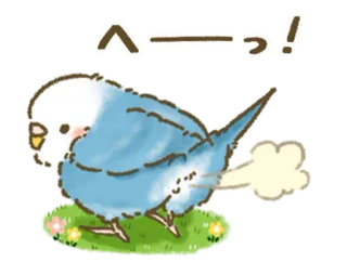 🦜 1a572d72 へーっ！ burung, parkit, imut, kentut, lucu, binatang telegram sticker