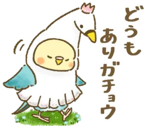 🦜 7d9ff109 どうも
ありがとう burung, imut, kawaii, terima kasih, parkit, binatang telegram sticker