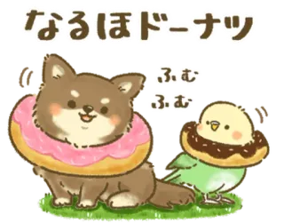 🦜 a37ad607 なるほどドーナツ
ふむ
ふむ anjing, burung, donat, lucu, makanan, hewan telegram sticker