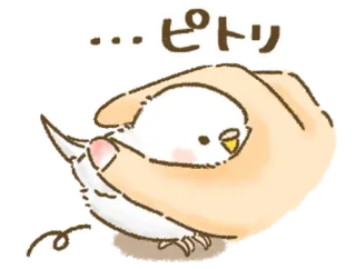 🦜 caeb1114 …ピトリ burung, lucu, kecil, binatang, tangan telegram sticker