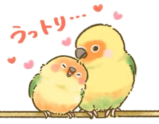 🦜 dc30d74f うっとり… burung, lovebird, imut, hewan, kawaii telegram sticker