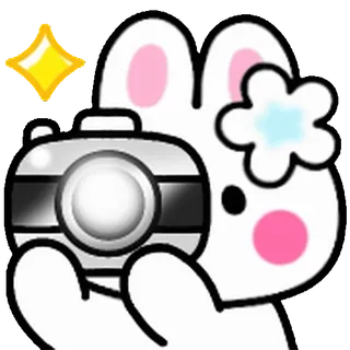 ⭐ 147f80ae conejo, cámara, fotografía, lindo, animal telegram sticker