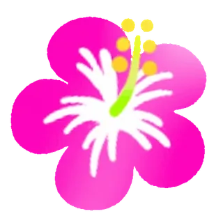 ⭐ 7e69106c flor, rosa, naturaleza, hibisco telegram sticker