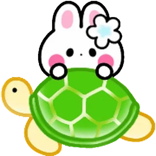 ⭐ 8d3e476e conejo, tortuga, animal, lindo, kawaii telegram sticker