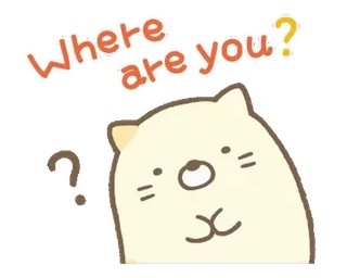 💬 b3d395ad Where are you? 猫, 可爱, 问题, 搜索, 动物, 卡通 telegram sticker