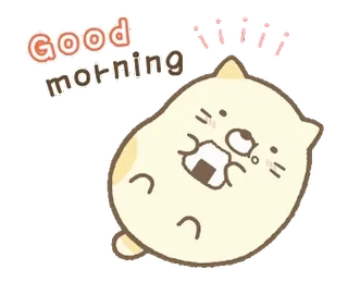 🤍 c94c602a Good morning 早上好, 猫, 可爱, 问候, 动物, 快乐 whatsapp sticker