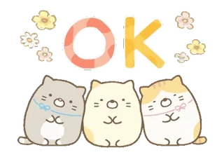 🍞 fc88badf OK Katzen, süß, okay, zustimmen, Tiere, positiv whatsapp sticker