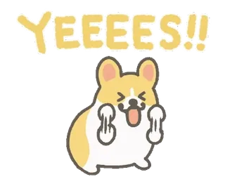👏 e2b543e4 YEEES!! Hund, Corgi, aufgeregt, ja, Feier, Geste telegram sticker