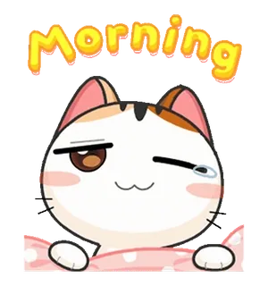 ⭐ 175a124f Morning Katze, Morgen, Süß, Schläfrig, Gruß, Cartoon telegram sticker