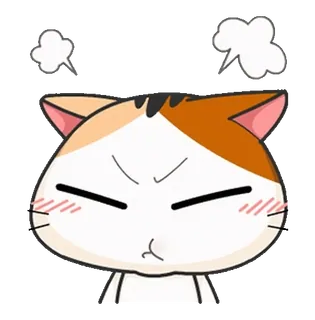 ⭐ 98ffa050 wütende Katze, frustriert, Katze, Cartoon, Emoji, Ausdruck telegram sticker