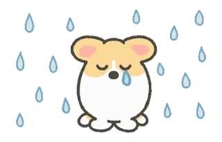 😢 4281102d コーギー, 悲しい, 雨, 涙, 子犬, かわいい telegram sticker