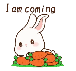 ⭐ ca6c81fd I am coming 토끼, 바니, 당근, 귀여운, 동물, 만화 telegram sticker